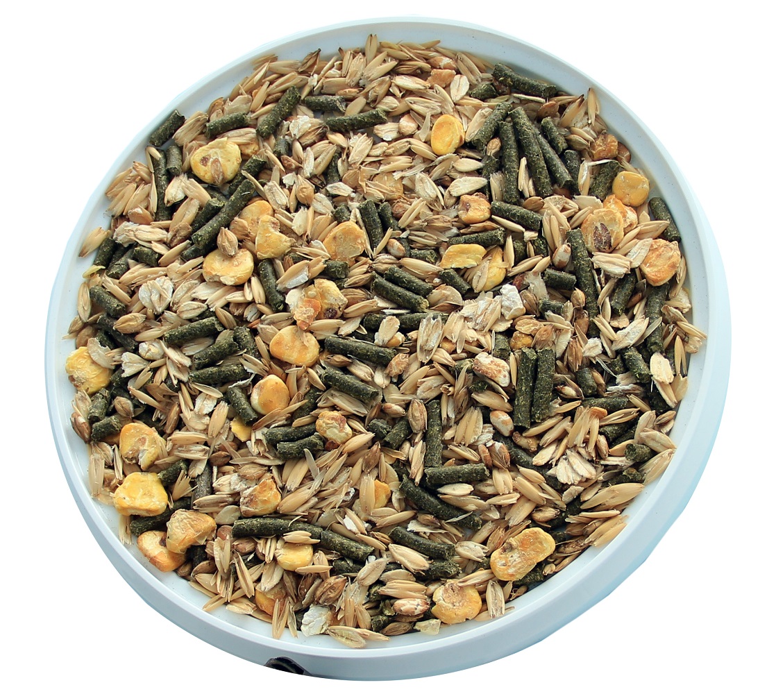 овес корм для лошадей. биотех-ц корма для лошадей. зерно дробленка овсяная. биотех корма для лошадей. мэш подорожник с овсом биотех ц.